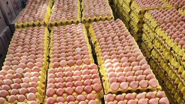 【哈尔滨今日鸡蛋价格】2025年4月22日哈尔滨鸡蛋价格是多少 【哈尔滨今日鸡蛋价格】2025年4月22日哈尔滨鸡蛋价格是多少