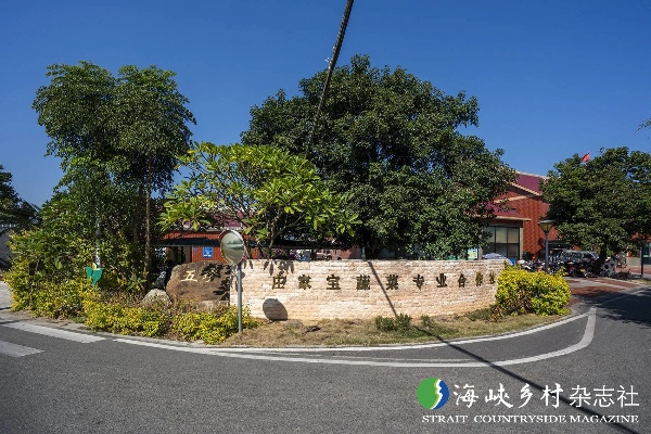 佘厝新村厦门的相关长尾关键词有哪些 佘厝新村厦门的相关长尾关键词有哪些