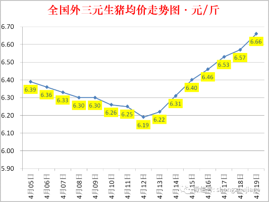 【西安今日生猪价格】2025年4月20日西安生猪价格是多少 【西安今日生猪价格】2025年4月20日西安生猪价格是多少