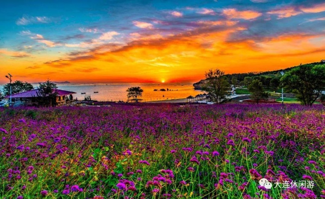 大连花汐浦的相关长尾关键词有哪些 大连花汐浦的相关长尾关键词有哪些