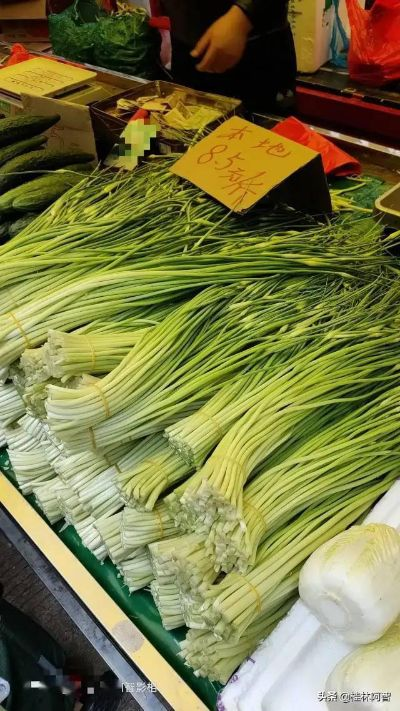 【桂林今日菜价】2025年7月6日桂林菜价是多少 【桂林今日菜价】2025年7月6日桂林菜价是多少