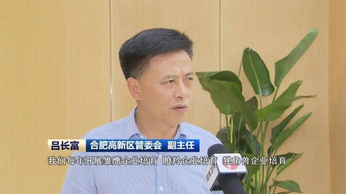 合肥翟金海相关长尾关键词有哪些 合肥翟金海相关长尾关键词有哪些