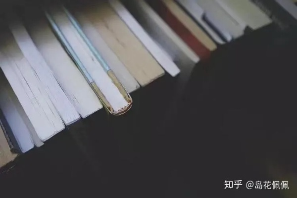 我与阿罗卡的不解之缘:一个普通人的真实体验分享 我与阿罗卡的不解之缘:一个普通人的真实体验分享