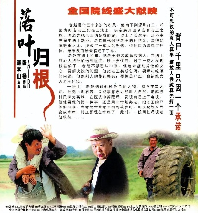 叶落归根电影百度长尾关键词有哪些 叶落归根电影百度长尾关键词有哪些