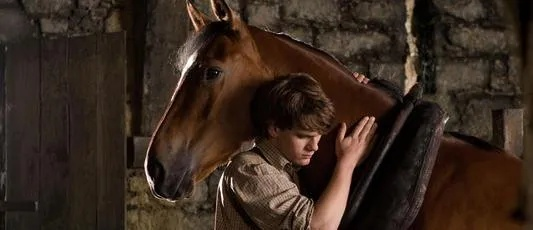 马肉电影相关长尾关键词有哪些 马肉电影相关长尾关键词有哪些