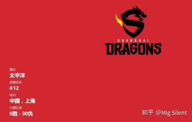 龙之队:中国体育精神的象征与荣耀 龙之队:中国体育精神的象征与荣耀