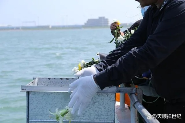 海葬火葬电影免费观看的长尾关键词有哪些 海葬火葬电影免费观看的长尾关键词有哪些