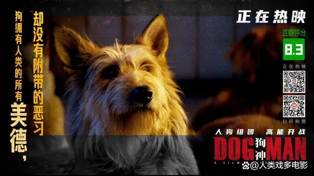 狗电影网站相关长尾关键词有哪些 狗电影网站相关长尾关键词有哪些