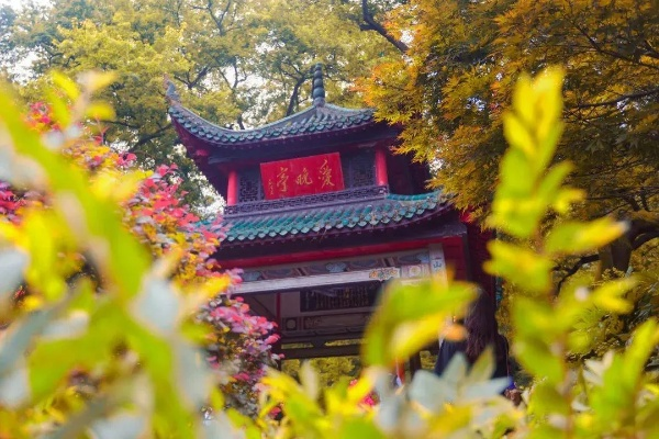 长沙市有什么文化 长沙市有什么文化