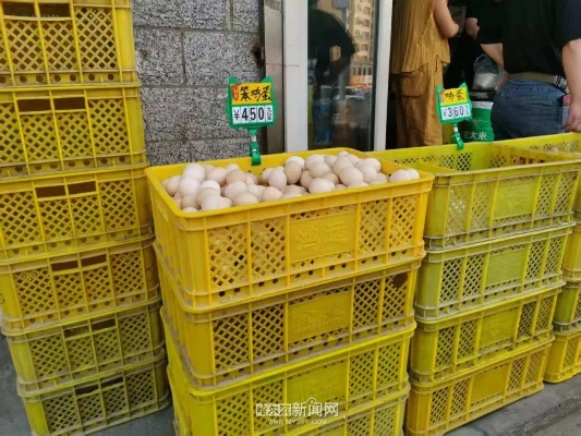 【哈尔滨今日鸡蛋价格】2025年7月5日哈尔滨鸡蛋价格是多少 【哈尔滨今日鸡蛋价格】2025年7月5日哈尔滨鸡蛋价格是多少