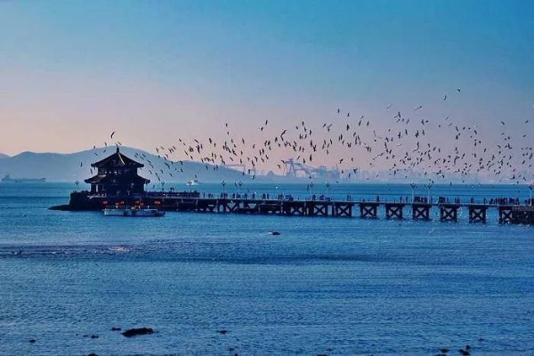 从青岛到北京:一场跨越千里的心灵之旅 从青岛到北京:一场跨越千里的心灵之旅