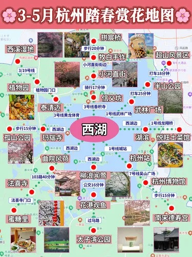 2025年杭州樱花/桃花什么时候开?最佳观赏地点和路线 2025年杭州樱花/桃花什么时候开?最佳观赏地点和路线