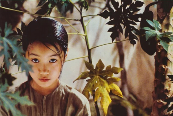 青木瓜之味电影百度长尾关键词有哪些 青木瓜之味电影百度长尾关键词有哪些