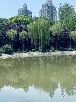 武汉市和平公园怎么样 武汉市和平公园怎么样