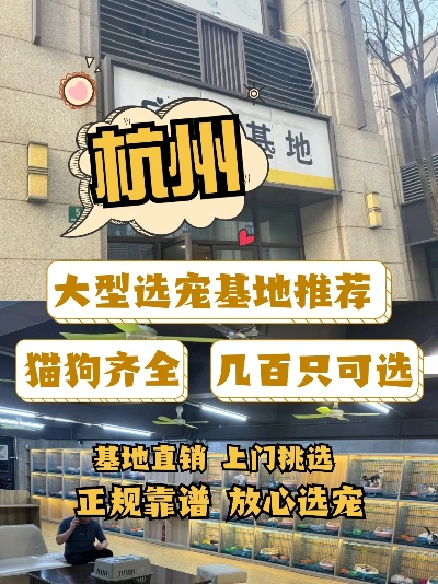杭州市哪个小区有狗市场 杭州市哪个小区有狗市场
