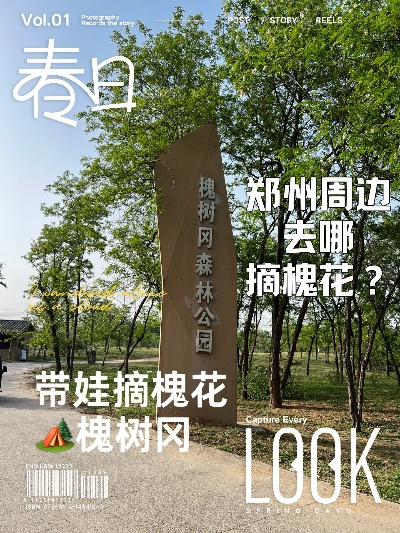 兰州市哪里有槐花树 兰州市哪里有槐花树
