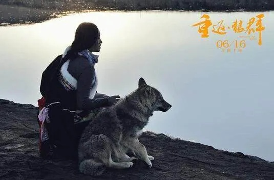 重返狼堡:一段震撼心灵的寻根之旅 重返狼堡:一段震撼心灵的寻根之旅