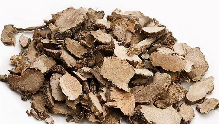 药材石菖蒲的工具用途长尾关键词集合 药材石菖蒲的工具用途长尾关键词集合